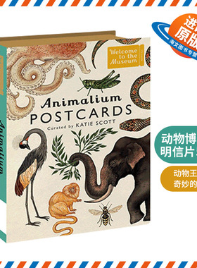 动物博物馆明信片50张 英文原版 Animalium Postcards 艺术明信片卡片 英文版 进口原版英语书籍