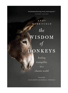 英文原版 Wisdom of Donkeys 大智若驴 在纷乱的世界寻找宁静 Andy Merrifield 英文版 进口英语原版书籍