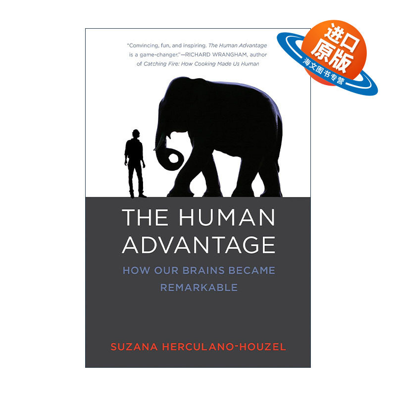 英文原版 The Human Advantage The MIT Press 超强大脑 为什么人类比其他物种更聪明 神经科学 进化 Suzana Herculano-Houzel