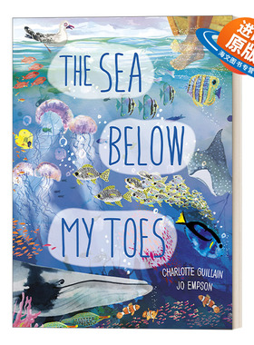 英文原版 The Sea Below My Toes 海底有什么呢？超长拉页科普绘本 英文版 进口英语原版书籍