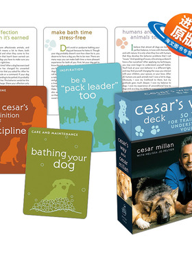 英文原版 Cesar's Way Deck 训练和理解你的狗的50个技巧 Cesar Millan 英文版 进口英语原版书籍