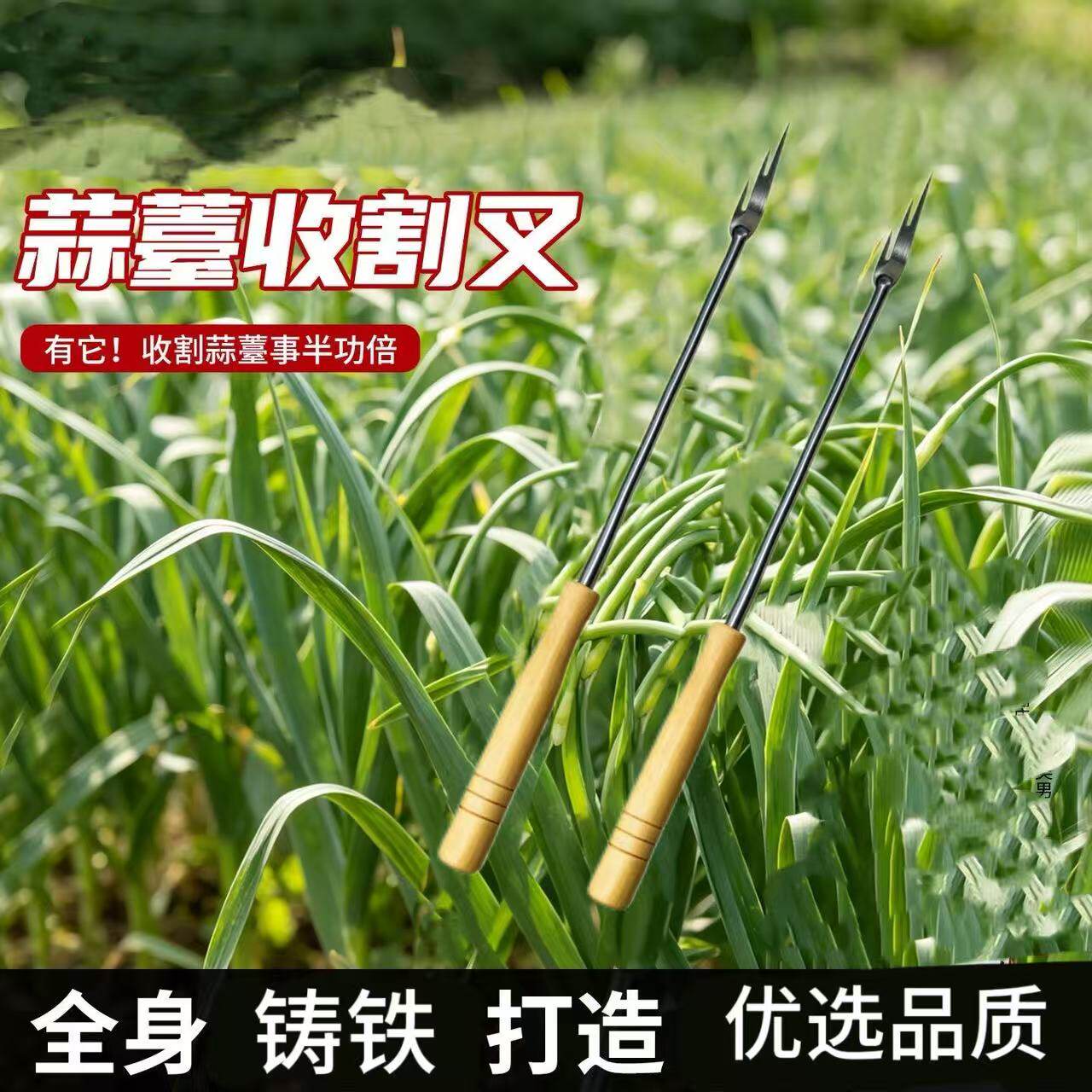 新款铸铁抽蒜苔神器专用工具拔蒜苔叉子收蒜苔剥刀刮划蒜苗揪蒜苔
