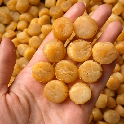 长山岛特级元贝足干金黄肉质紧实