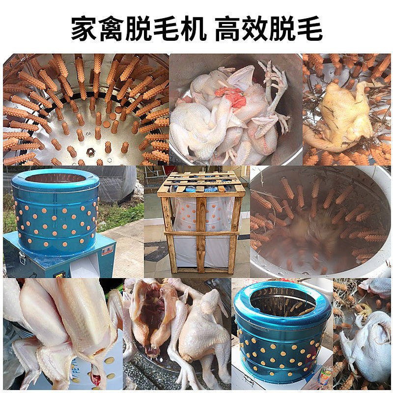 脱毛机鸡鸭鹅拔毛机全自动退毛机杀鸡大型商用家禽脱毛煮水一体机