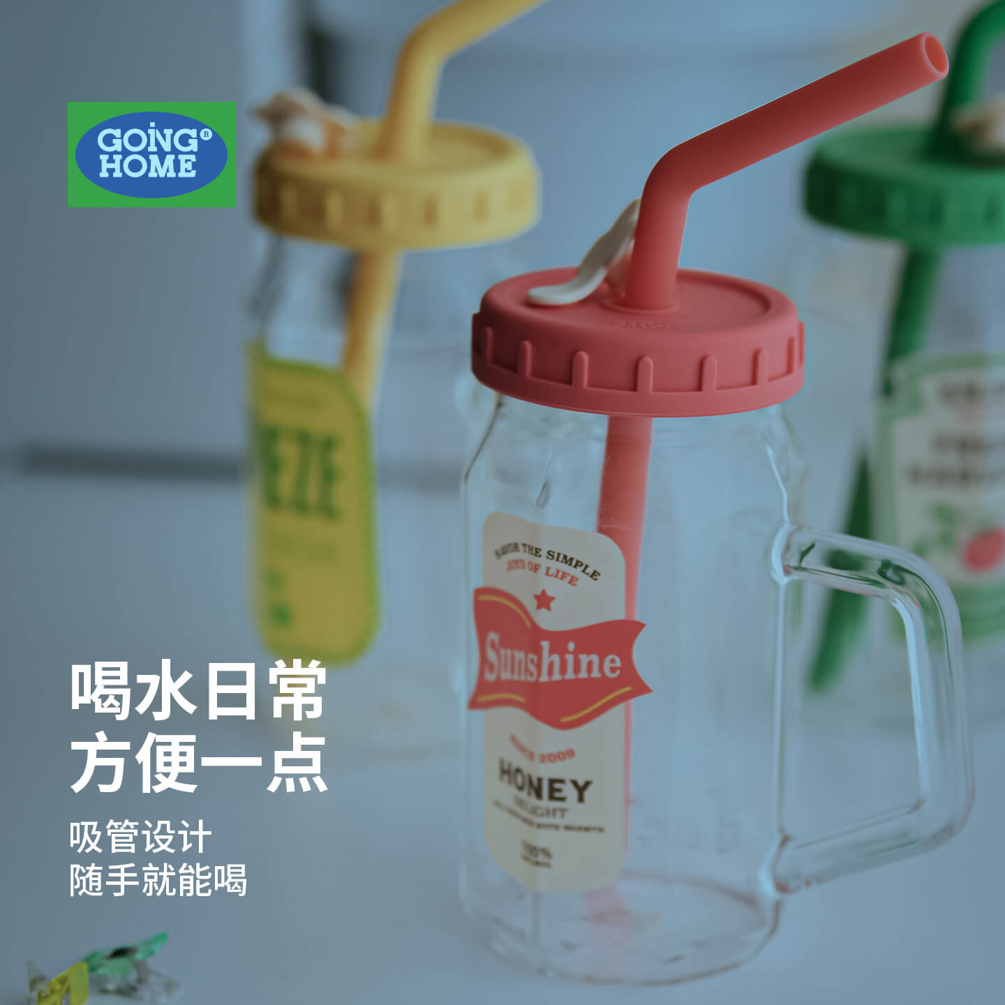 ins风耐热带盖带把手玻璃果汁杯图片