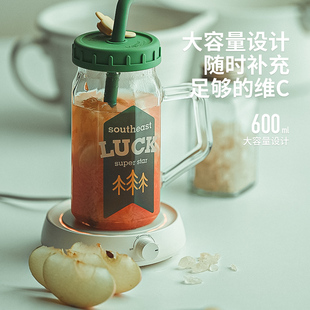 水杯复古玻璃杯单层加厚高硼硅玻璃杯平底可加热带把手有盖梅森杯