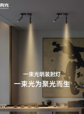 一束光聚光射灯/设计师推荐正品