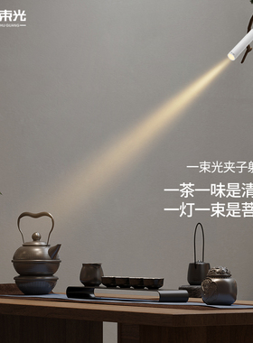 一束光聚光射灯夹子小角度3/15度插电茶室鱼缸氛围博物馆玄关补光