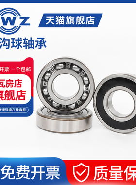 ZWZ瓦轴瓦房店轴承6000/6001/6002/6003/6004/6005/6006  2Z 2RS