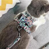 胸背猫咪背c心式 j防挣脱遛猫绳外出绳子JK溜猫Q可伸缩可调节牵i.