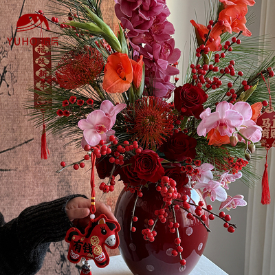 屿后 【2026】新年红陶瓷花瓶合集年宵花蝴蝶兰盆栽diy客厅摆件
