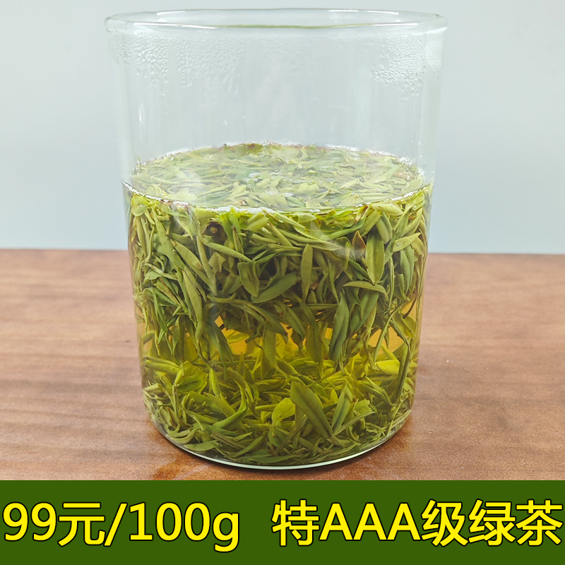 日照绿茶2024年新茶明前春茶芽尖