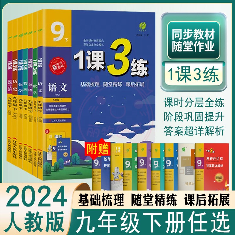 初中1课3练九年级下册练习册2024