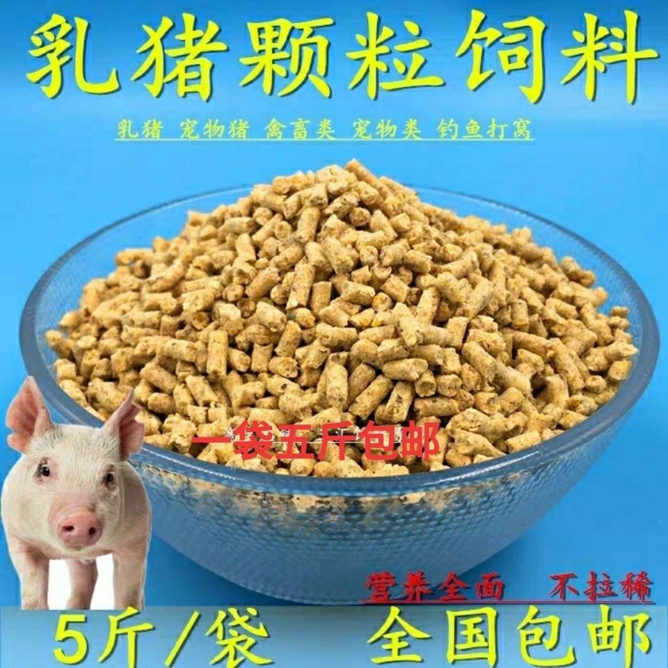 小猪料552小猪饲料开口料乳猪教槽料破碎颗粒全价料催肥钓鱼打窝