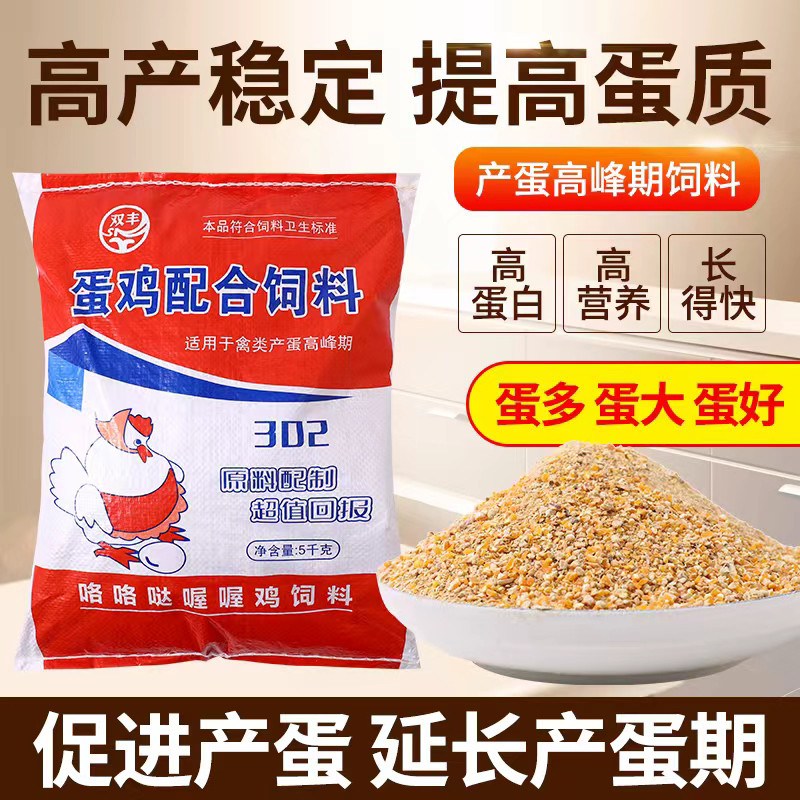 蛋鸡配合全价饲料下养殖