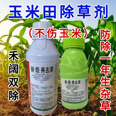 36%硝烟莠去津玉米除草剂不伤苗