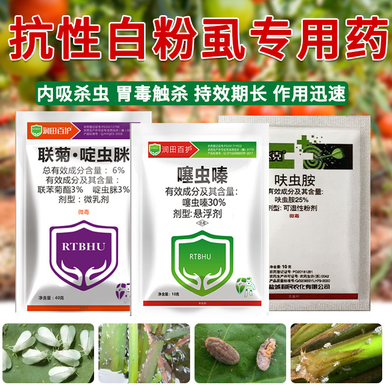 抗性白粉虱稻飞虱专用药