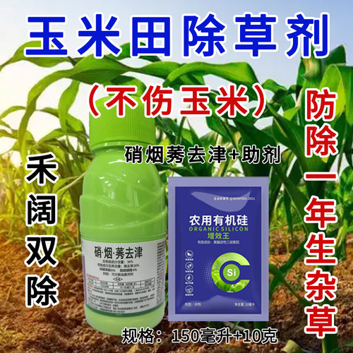 【玉米田苗后专用除草剂】高含量