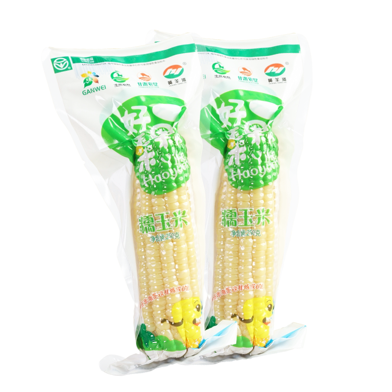新鲜现摘糯玉米棒黄羊河