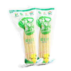 新鲜现摘糯玉米棒黄羊河