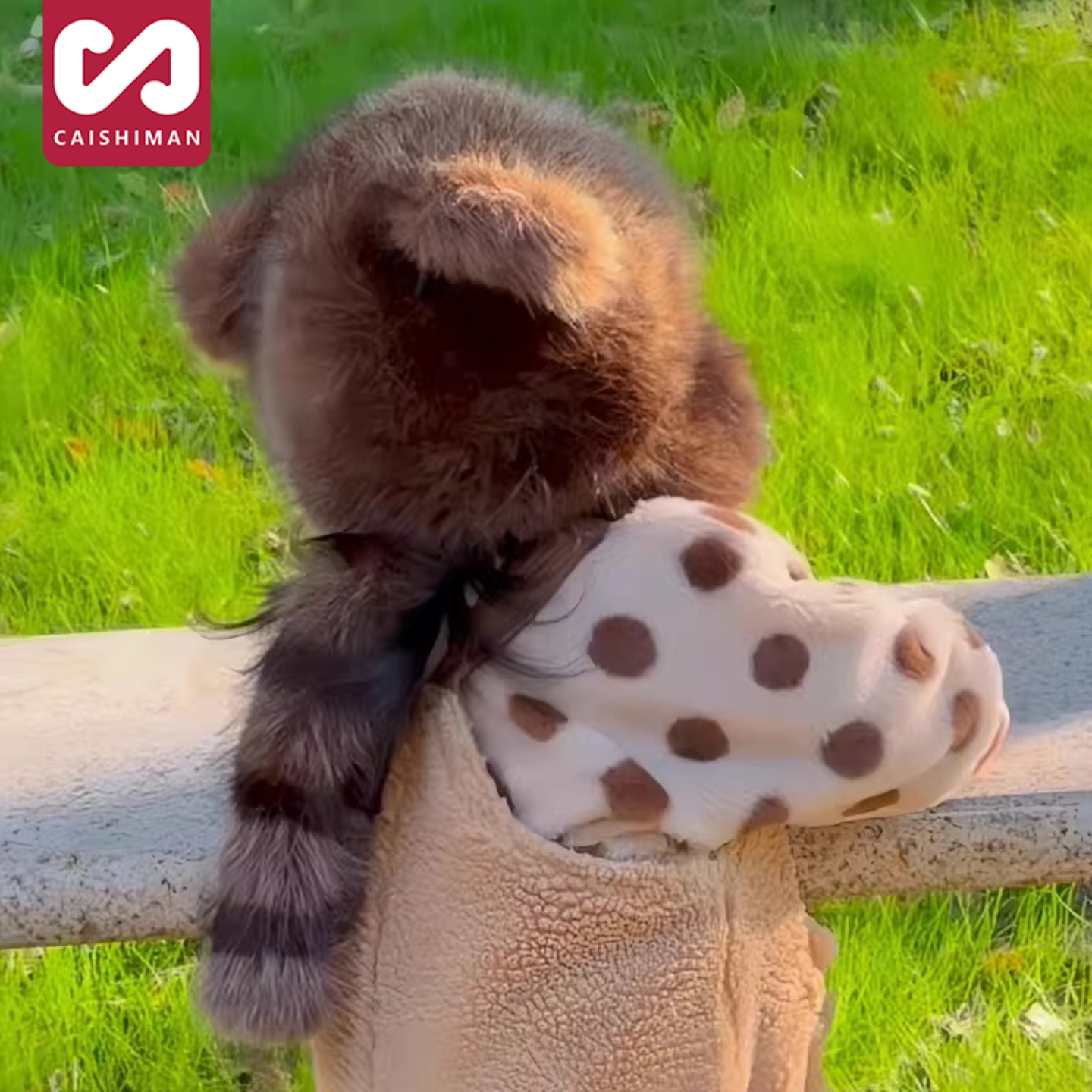 小浣熊皮草帽子真毛霸王帽儿童尾巴男女貉子毛雷锋冬季保暖护耳帽,童装/婴儿装/亲子装,帽子,淘宝优惠券,粉丝福利购,淘宝优惠卷