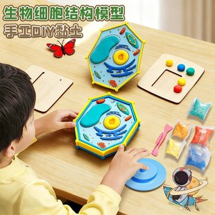 细胞模型制作材料七年级上生物动植物手工成品真核材料包初一作业细菌diy粘土自制初高中学生线粒体三维立体