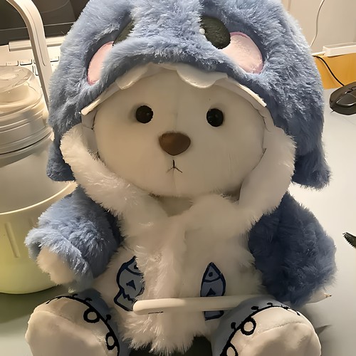 【下单送娃衣】毛绒小熊毛绒玩偶