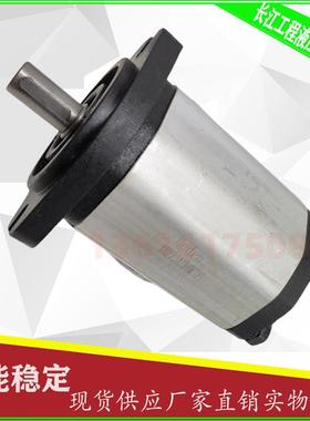 新款齿轮泵BHP2.5A1D45C1F1/D30/D32/D36/D38/D40/D44/D包邮