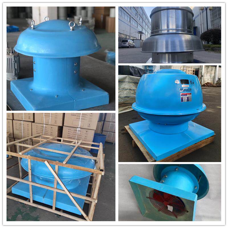 新款DWT-1-6防腐屋顶轴流风机 BDWT-I-8低噪音玻璃钢屋顶防爆包邮