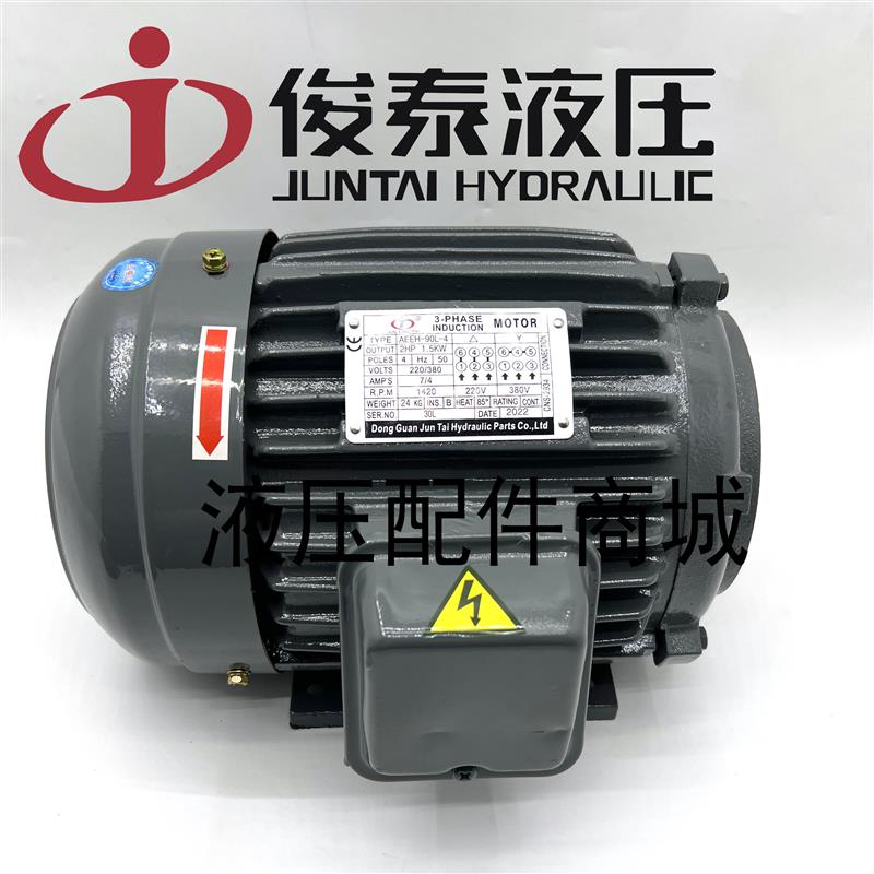 新款JUNTAI液压站专用油泵电机内轴电机AEEH-80/90L/100L包邮