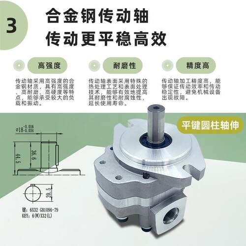 新款派克 G5-10-1E13S-20R齿轮泵 G5-6/8/12/16/25/30-1FE13F包邮