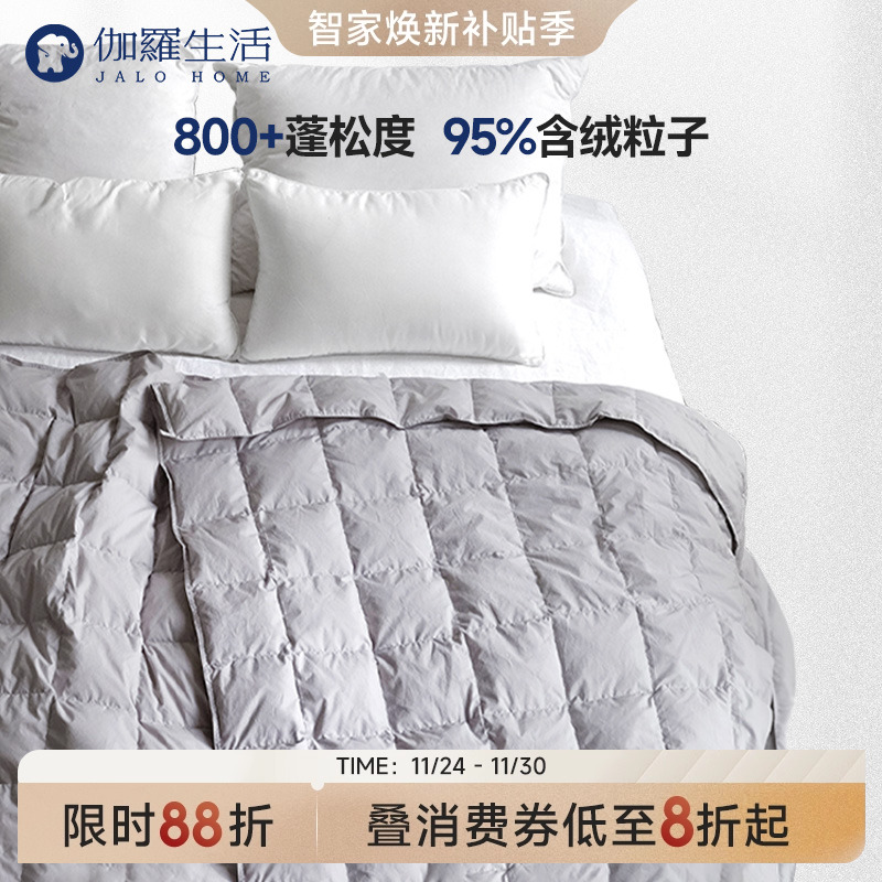 800+生活蓬松度鹅绒被冬季款