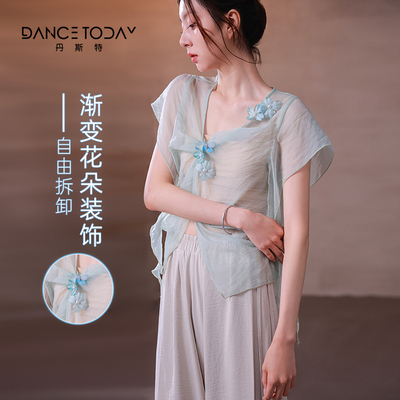 dancetoday古典舞纱衣上衣短袖