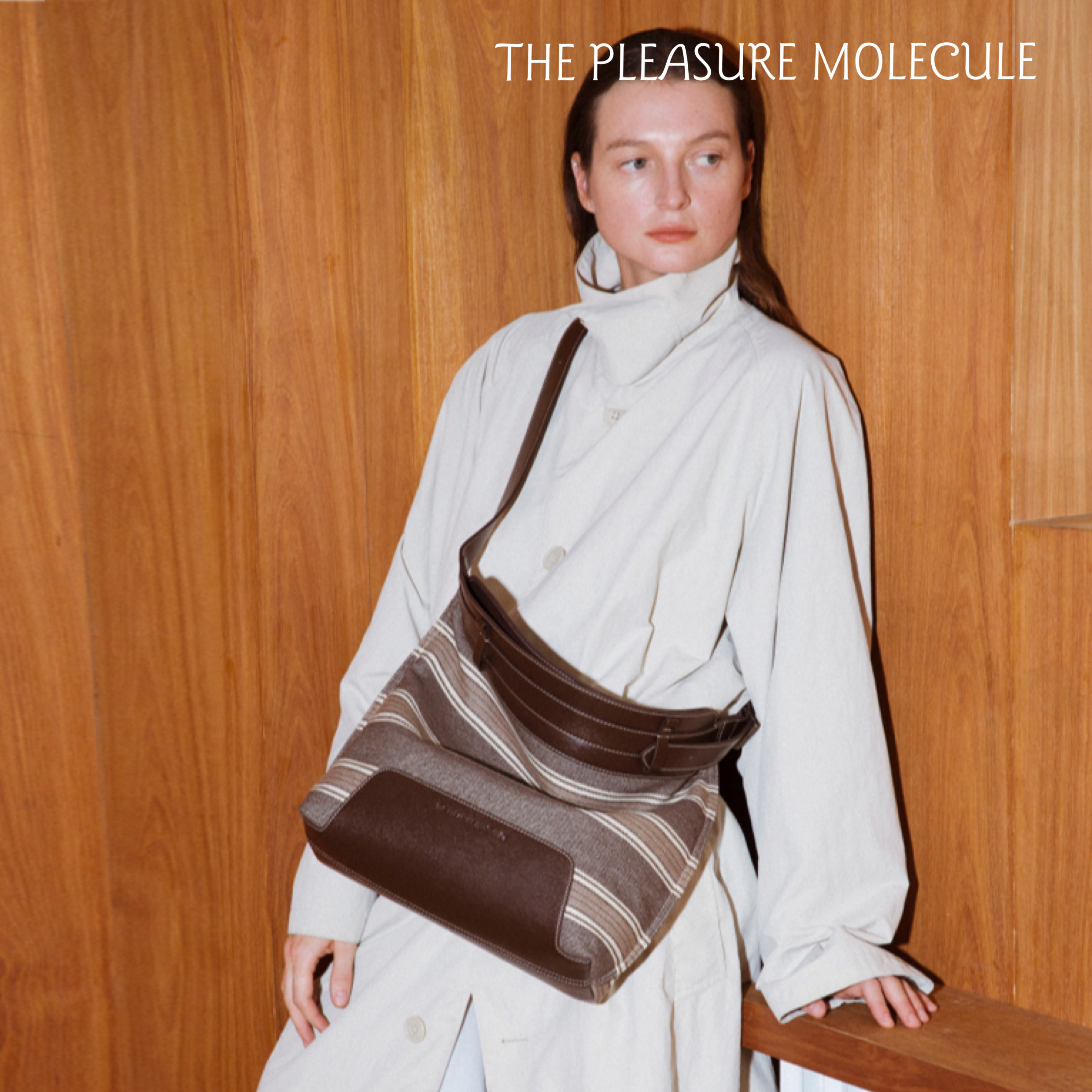 the pleasure molecule条纹帆船包头层牛皮帆布老钱风度假斜挎包