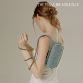 the pleasure molecule链条腰包时髦手机包多种背法百搭精致女包