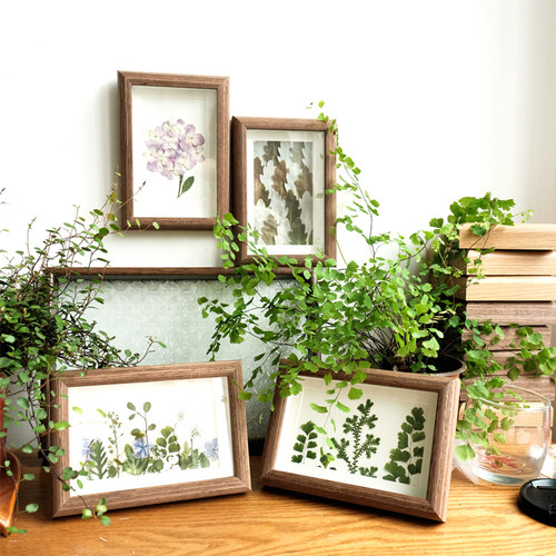 植物压花创意相框墙面装饰品干 干燥花挂件手工diy桌面办公桌卧室
