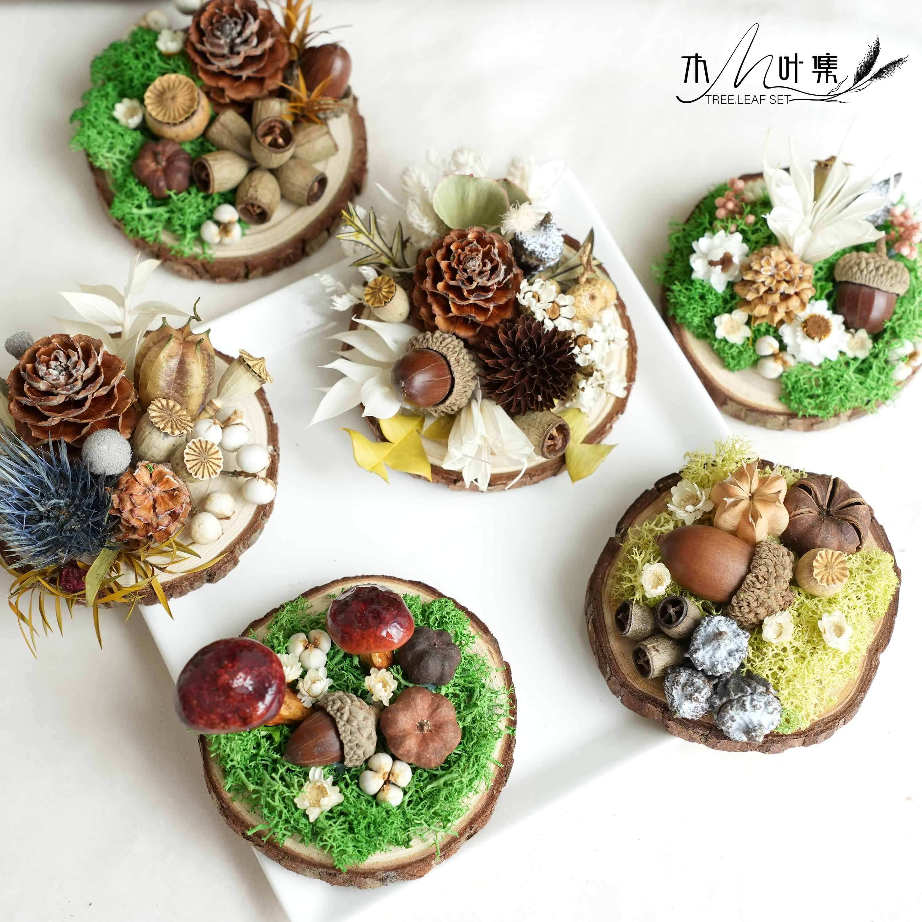 植物真干花永生花磁吸冰箱贴 家居墙面冰箱装饰挂件 干果个性创意,鲜花速递/花卉仿真/绿植园艺,干花,淘宝优惠券,粉丝福利购,淘宝优惠卷