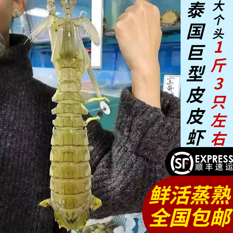 特大皮皮虾鲜活熟冻泰国富贵虾冻巨型虾手臂大虾濑尿虾虾姑爬虾子