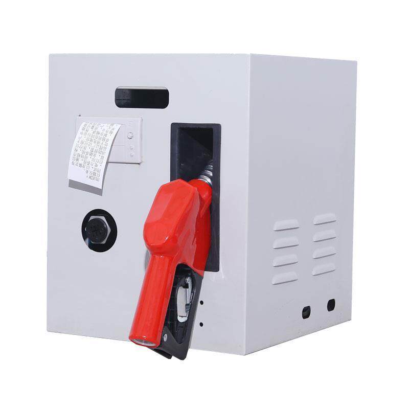 新款12V24V220V伏车载加油机全自动定量柴油小型带计量器跳枪包邮