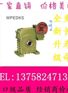 新款WPEDKS铁颗粒立式双级带电机法兰输入出孔型蜗轮蜗杆减速包邮