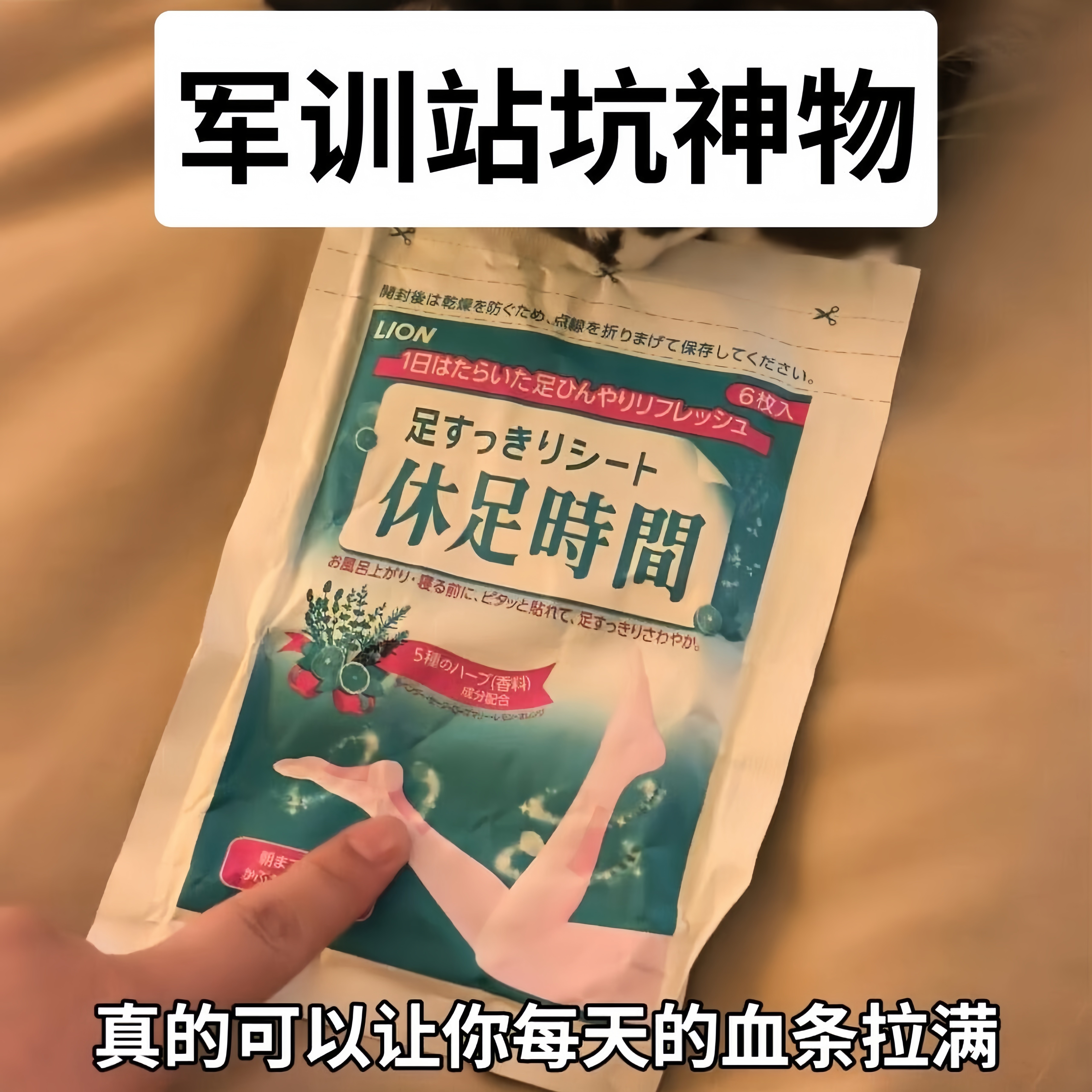 军训缓解疲劳去浮肿清凉足贴