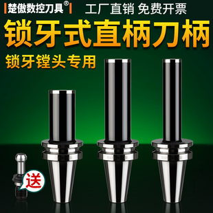 锁牙刀头防抗震刀柄BT30 刀柄数控CNC高精度可换式 直柄锁牙式