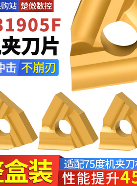 桃形普通机夹车刀头 T31605F T31905F黄色涂层合金刀片开粗神器
