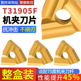 桃形普通机夹车刀头 T31605F T31905F黄色涂层合金刀片开粗神器