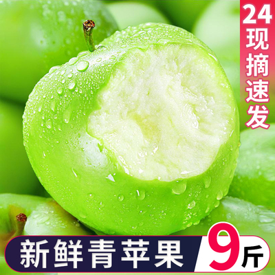 青苹果新鲜水果10斤当季现摘