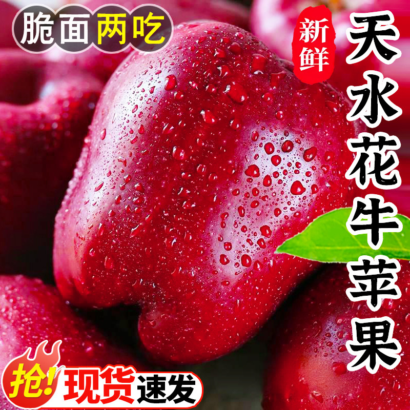 正宗天水花牛苹果甘肃新鲜水果