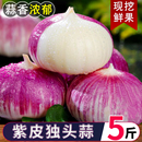 正宗云南新鲜紫皮独头蒜农家蔬菜独蒜大蒜头紫皮蒜非干蒜2025整箱