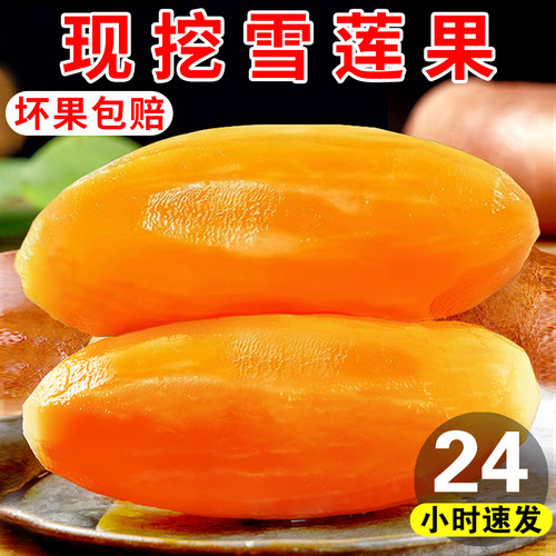 天山雪莲果新鲜大果特级红心雪连