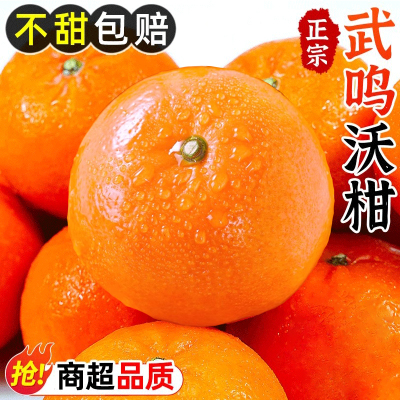 一级当季广西武鸣沃柑喜思农场