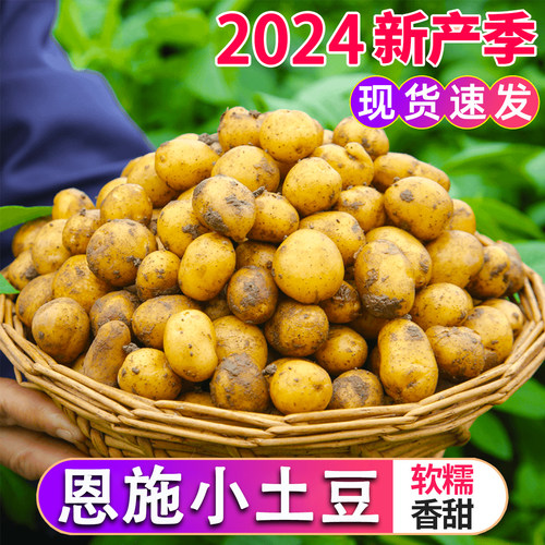 恩施小土豆整箱富硒黄心蔬菜